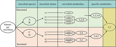 Discovery of Drug Candidates for Specific Human Disease Based on Natural Products of Gut Microbes